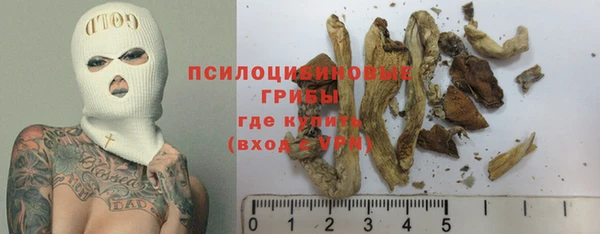 твердый Белокуриха
