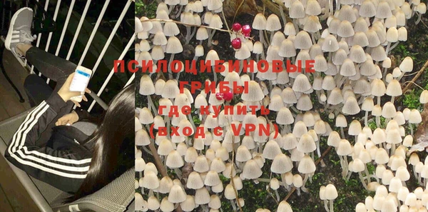 дурь Белоозёрский