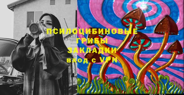 твердый Белокуриха