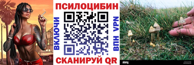Псилоцибиновые грибы прущие грибы  Улан-Удэ 